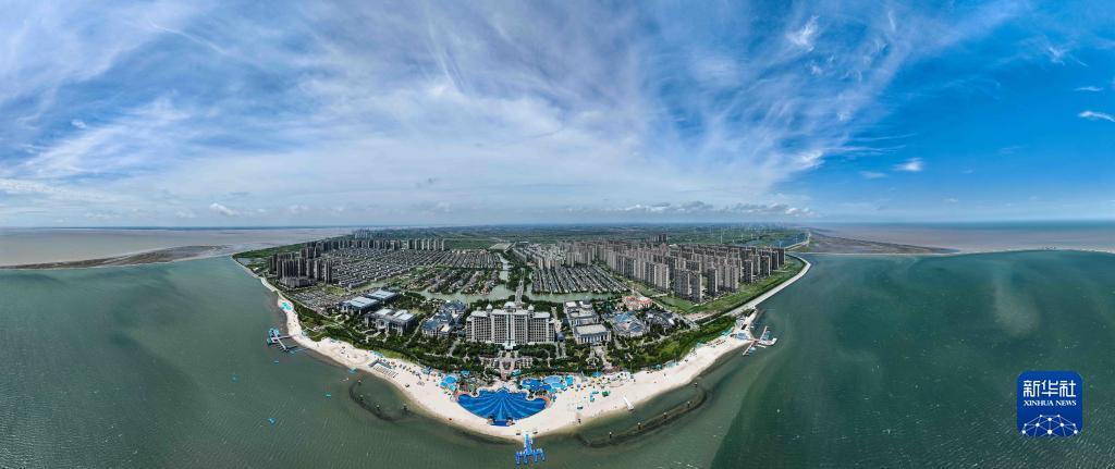 大赢家软件下载